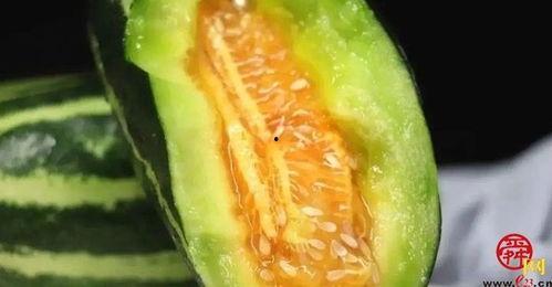 吃瓜能吃药,揭秘日常饮食中的健康秘密