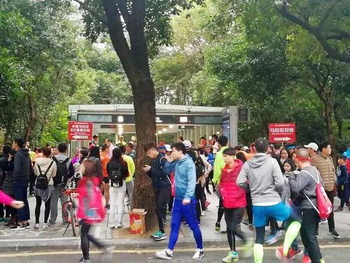 吃瓜群众兴奋不已,热议事件引爆网络热潮