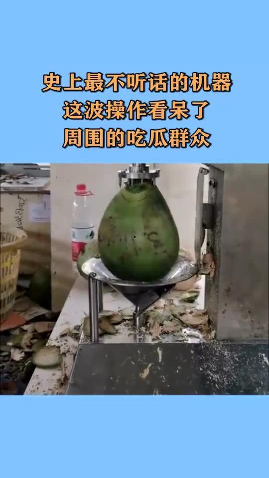 吃瓜的机器