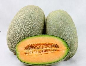 肛裂吃哈密瓜,天然润肠美食的神奇疗效