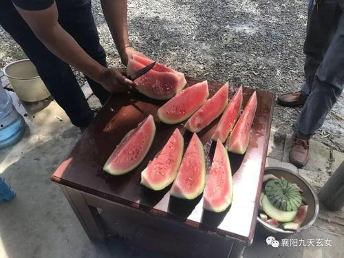 花果山吃瓜,探寻仙境中的甜蜜时光