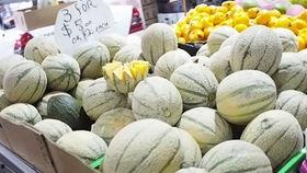 墨尔本留学圈吃瓜,揭秘留学生活中的“吃瓜”趣事