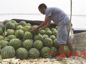 梦见给便宜吃瓜,揭秘“免费吃瓜”背后的神秘寓意