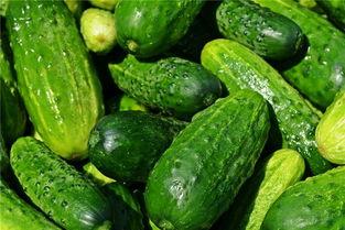 梦见给便宜吃瓜,揭秘“免费吃瓜”背后的神秘寓意