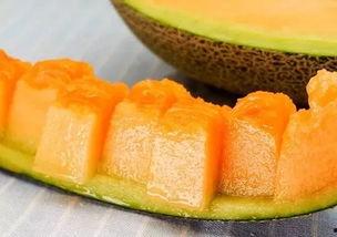 小孩吃冰糖蜜瓜