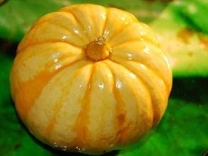 吃瓜玩具是啥子,潮流玩具界的趣味新宠