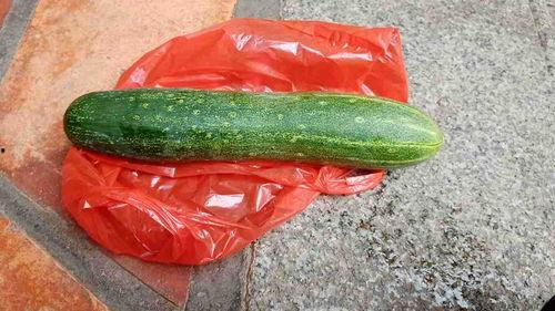 吃瓜玩具是啥子,潮流玩具界的趣味新宠