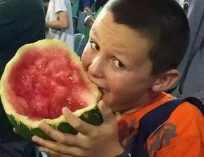 幼儿吃瓜姿势奇葩,幼儿吃瓜姿势大盘点