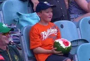 幼儿吃瓜姿势奇葩,幼儿吃瓜姿势大盘点