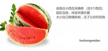 云禾吃瓜,揭秘娱乐圈幕后故事