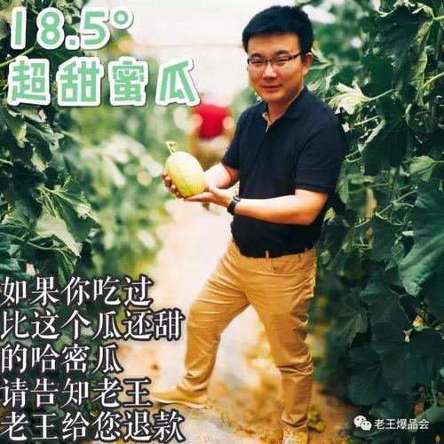 吃超甜蜜瓜视频,一场视觉与味蕾的双重享受