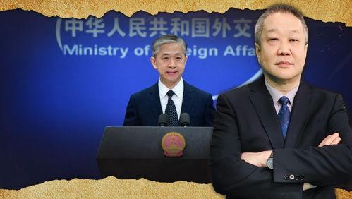 汪文斌吃瓜,揭秘娱乐圈幕后真相