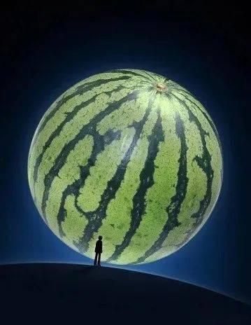 星球导航吃瓜群,揭秘吃瓜群背后的宇宙奥秘