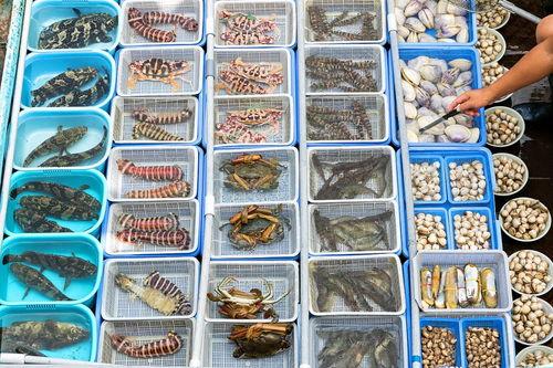 贝类海瓜怎么吃,探索美味与营养的完美融合