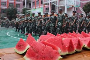 每日大赛-校园吃瓜,每日大赛吃瓜大揭秘