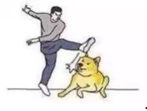 这瓜我吃的有点撑