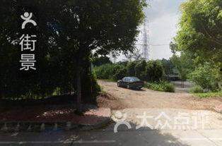 吃瓜七星岗,探寻美食与文化的交汇之地