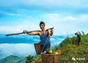 在线吃瓜 新昌,网络“吃瓜”热潮下的地方风情