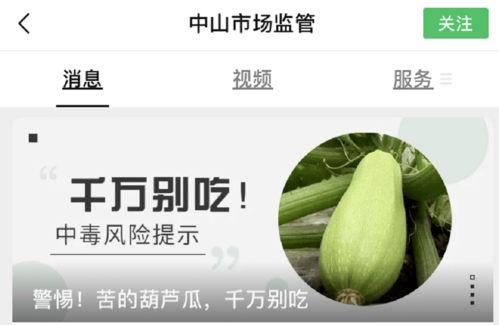 吃小瓜有毒,揭秘“吃小瓜有毒”的真相与防范措施