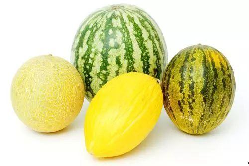 瓜怎么吃热的,探索热吃瓜果的独特风味