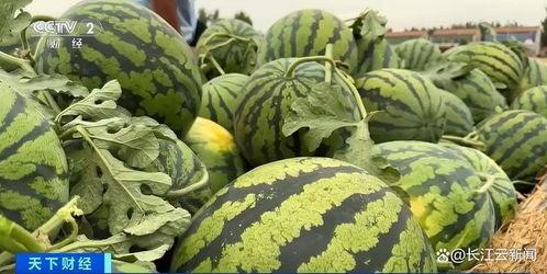 瓜怎么吃热的,探索热吃瓜果的独特风味