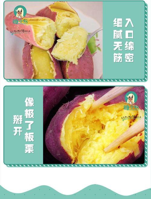 蜜薯瓜怎么吃,解锁美味新体验