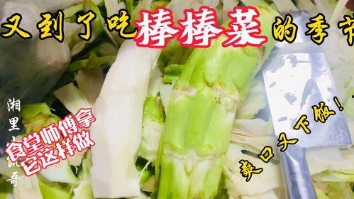 郓城吃瓜老师,揭秘乡村教育中的趣味与挑战