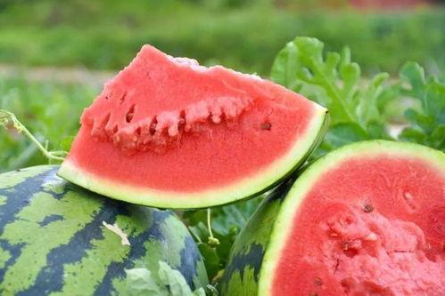 广东叶同学吃瓜,探寻地道美食与风土人情