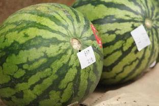 郑州7.10吃瓜,一场引发社会关注的“吃瓜”风波