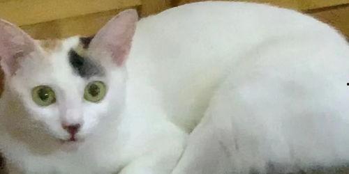 装可怜有瓜吃,揭秘装可怜者的瓜分之道