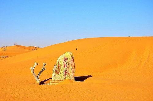 腾格里沙漠吃瓜视频,腾格里沙漠里的吃瓜时光