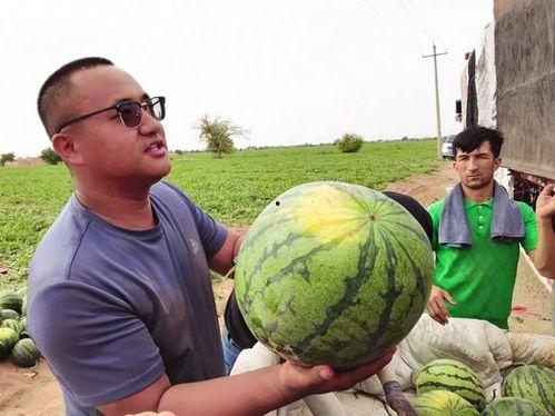 黑装吃瓜,揭秘吃瓜群众的神秘世界