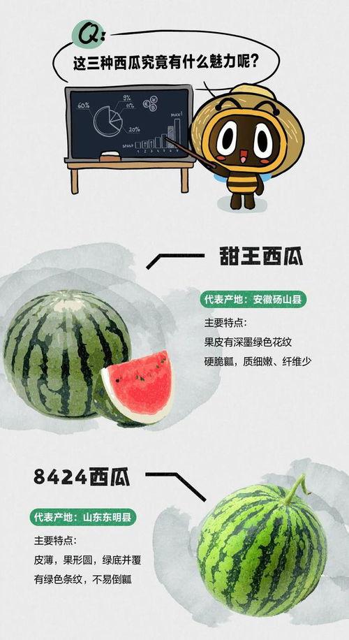 吃瓜自夸,自夸人生，笑谈世间百态