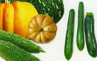 bambi吃瓜,揭秘娱乐圈幕后风云