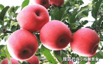 晚上吃苹果还是蜜瓜