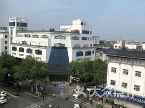 苏州观前街吃瓜地方,夏日吃瓜好去处，街头巷尾尽享清凉时光