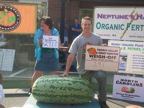 吃瓜群众外部人员