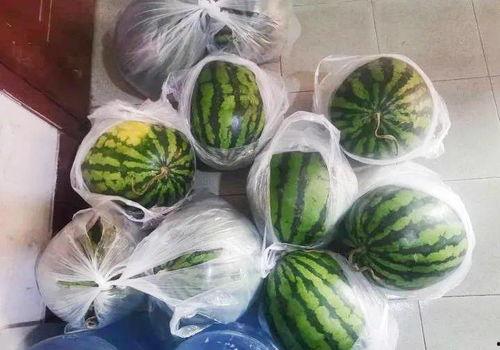 白小二吃瓜,揭秘娱乐圈背后的那些事儿