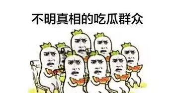 吃瓜群众苏某某