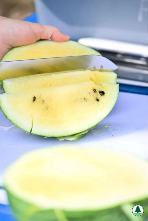 吃瓜直播港澳,吃瓜直播带你领略两地风华