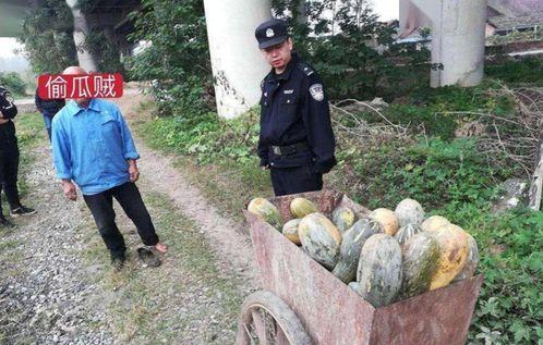 西安吃瓜被抓事件,网络围观背后的法律边界探讨