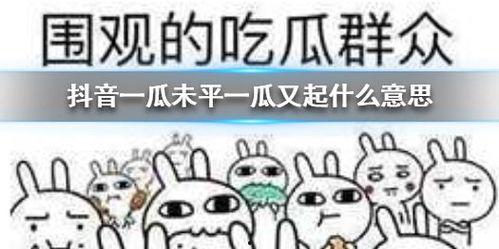 吃瓜新梗,揭秘吃瓜新梗背后的趣味与智慧