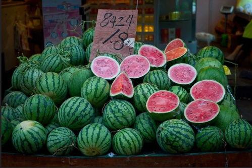 上海剧场吃瓜,吃瓜群众的观剧日记