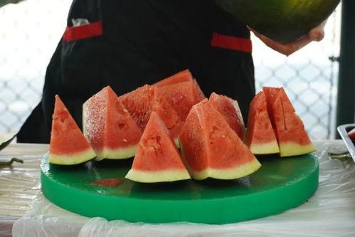 职院吃瓜,揭秘校园吃瓜背后的故事