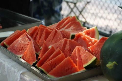 职院吃瓜,揭秘校园吃瓜背后的故事