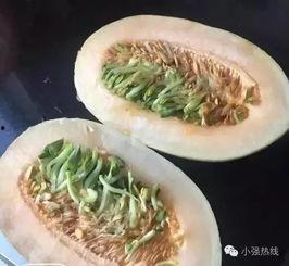 娜娜吃哈密瓜,娜娜的哈密瓜美食之旅
