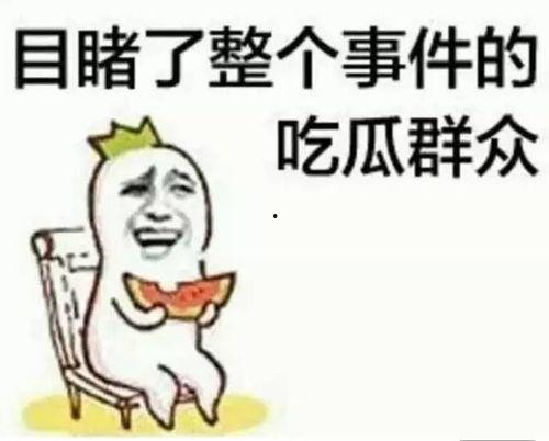 骆秋迟吃瓜,瓜界新宠，揭秘吃瓜达人背后的故事