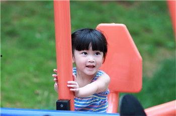 铁锤妹妹吃瓜,揭秘娱乐圈幕后故事