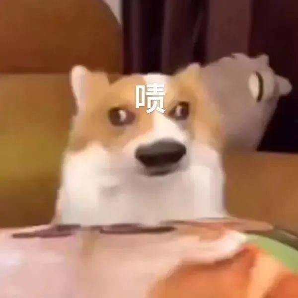 嘎嘎吃瓜张大贵,揭秘网络红人的瓜田传奇