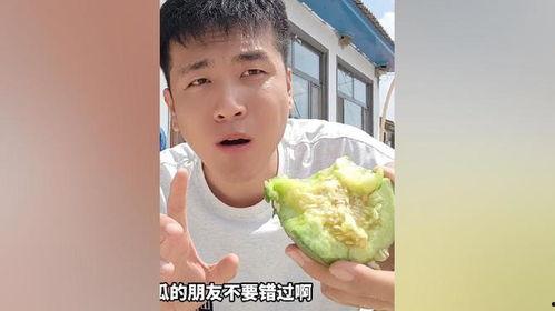 嘎嘎吃瓜张大贵,揭秘网络红人的瓜田传奇